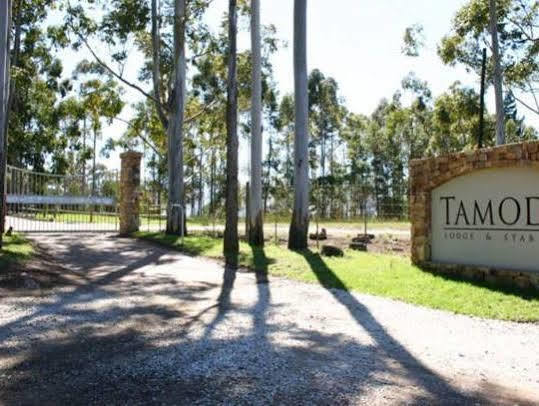 Tamodi Lodge Plettenberg Bay Eksteriør bilde